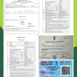 PAPER CUTTING FILE (2)_01