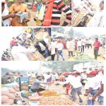 PAPER CUTTING FILE (2)_46